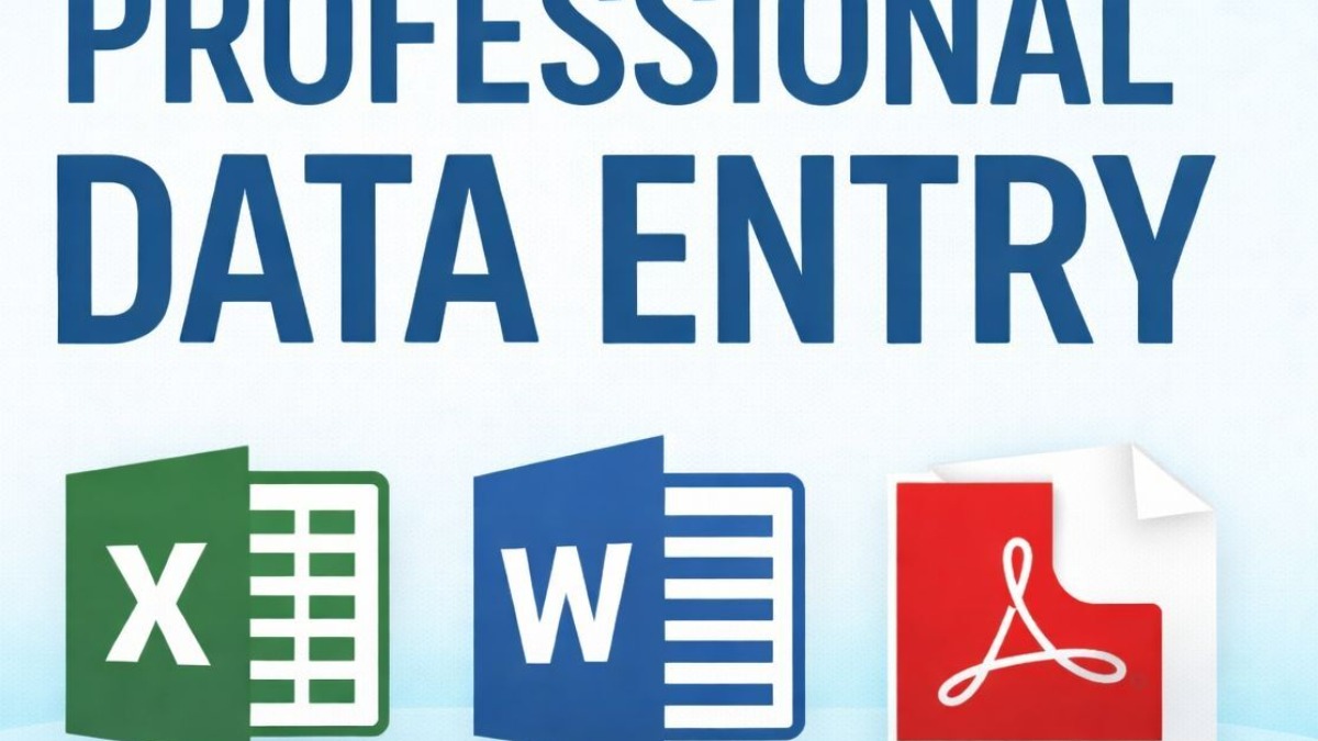 Accurate Data Entry & Financial Management in Excel